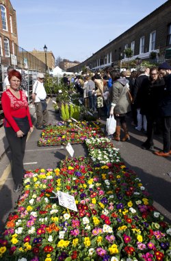 Columbia Road Flower Market clipart