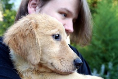 Teen Boy And Golden Puppy 3 clipart