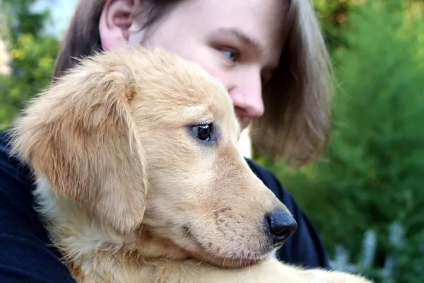 Tiener jongen en gouden puppy 3 — Stockfoto