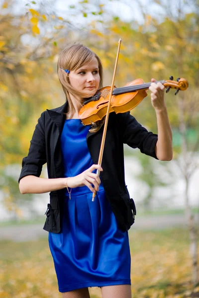 stock image Violinist