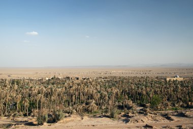 iran Desert oasis peyzaj germe