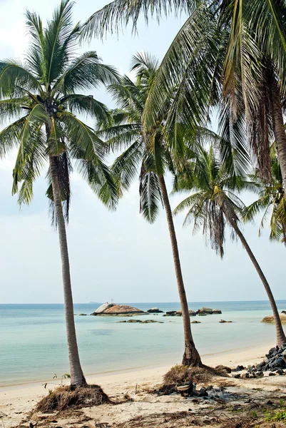 Тропический экзотический пляж недалеко от Пхукета Таиланд — стоковое фото