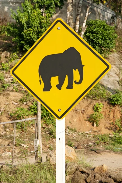 Tayland'da fil yol geçiş işareti