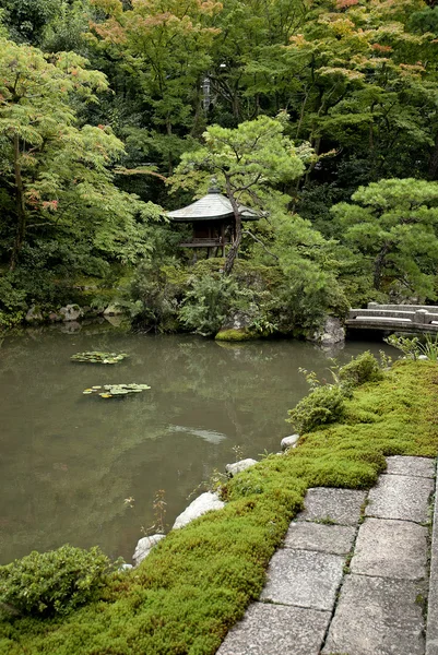 Japansk traditionell trädgård i kyoto japan — Stockfoto