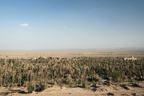 Garmeh 在伊朗沙漠中的绿洲景观 — 图库照片