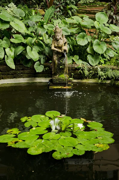 Garden pond detail — Stock Photo, Image