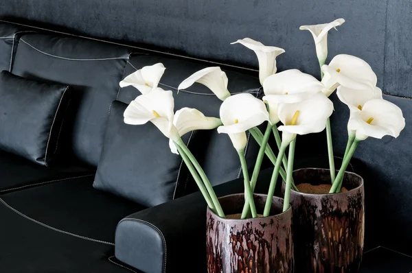 Diseño interior contemporáneo con sofá y flores —  Fotos de Stock