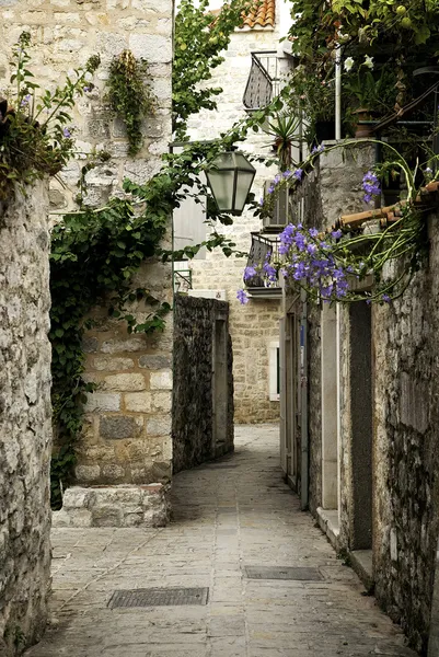 Budva calle del casco antiguo, montenegro — Foto de Stock