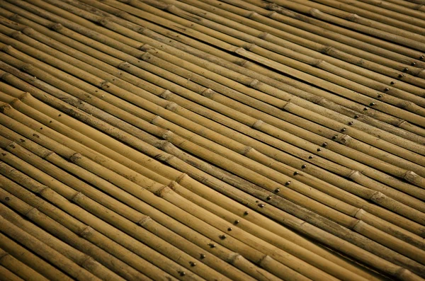 Detalhe da superfície de bambu — Fotografia de Stock
