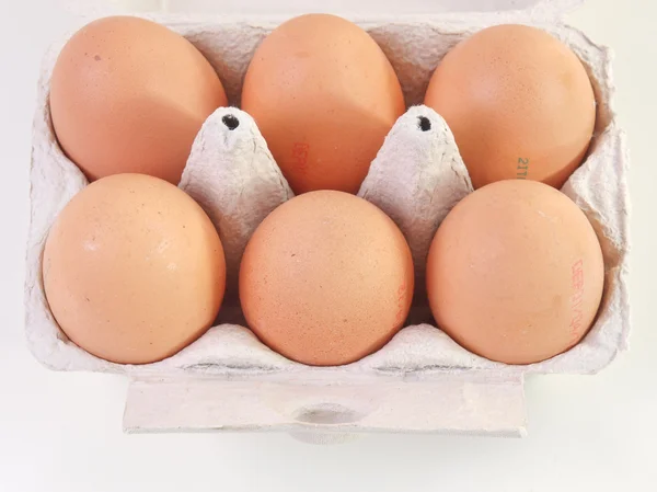 Huevos en caja de cartón — Foto de Stock