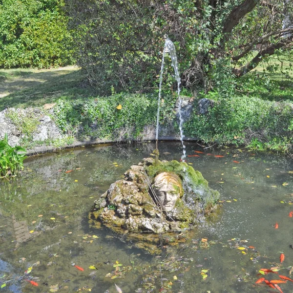 Aglie Castle fountain — Stock Photo, Image