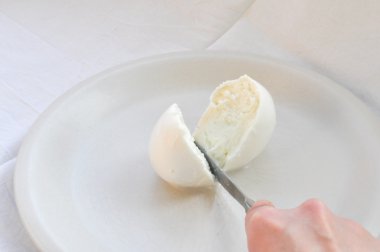 mozzarella peyniri