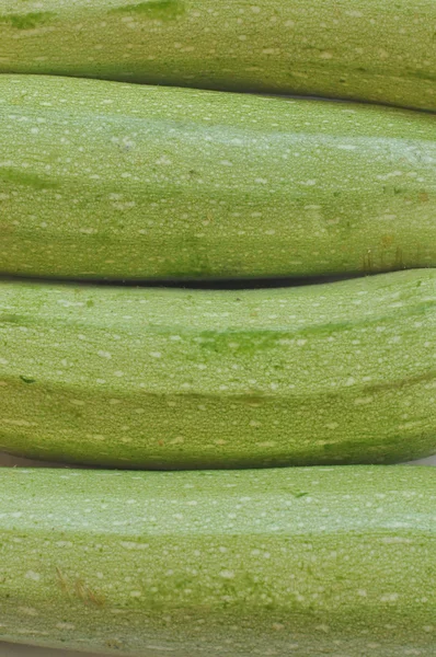 Zucchine zucchine — Foto Stock