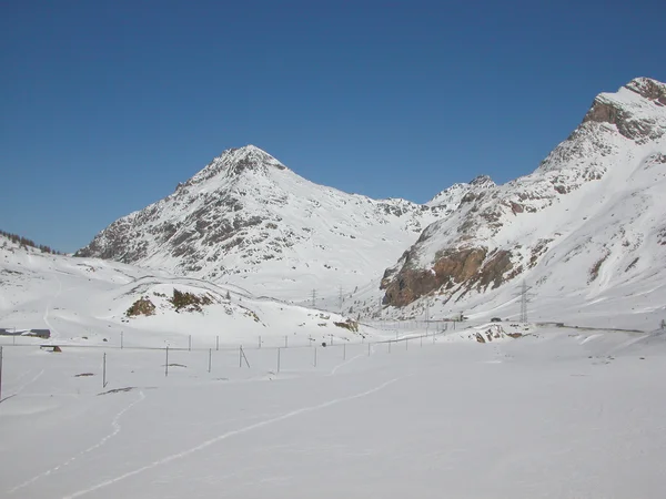 Bernina, İsviçre — Stok fotoğraf