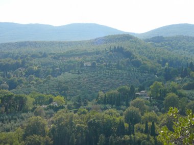 Cetona, siena, İtalya