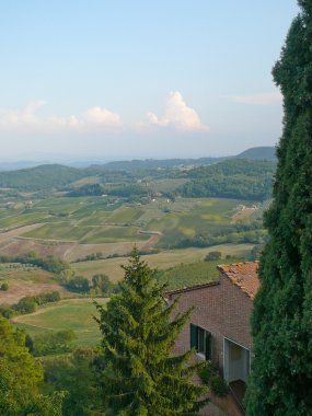 Montepulciano, İtalya