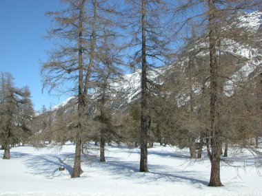 Bernina, İsviçre