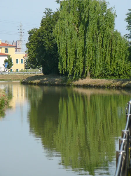 Padua, İtalya — Stok fotoğraf