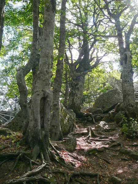 塔山 — 图库照片