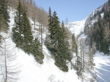 Bernina, İsviçre