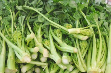 Rapini vegetables clipart