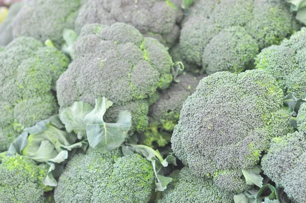 Broccoli groenten — Stockfoto