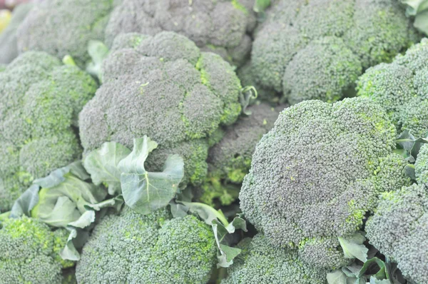 Légumes brocoli — Photo