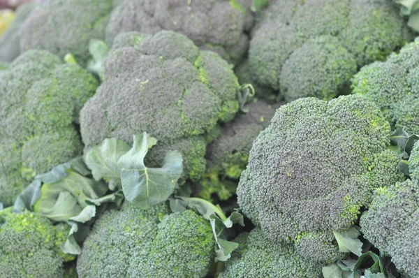 Légumes brocoli — Photo