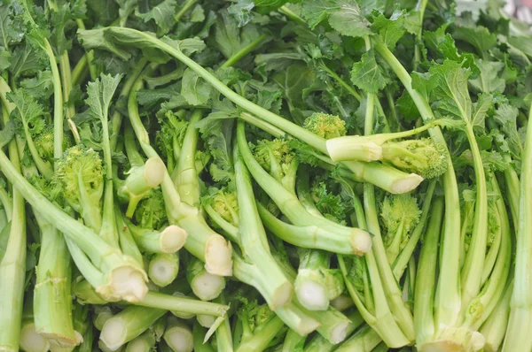 Rapini grönsaker — Stockfoto