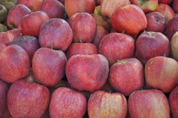 Owoce jabłko — Zdjęcie stockowe