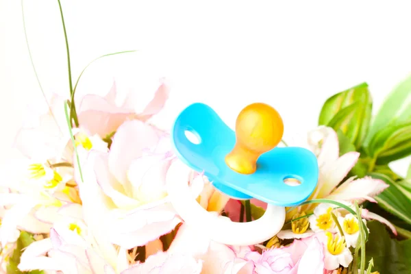 Bebek emziği çiçekler üzerinde — Stok fotoğraf