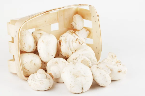 stock image Fresh mushrooms in a wooden box