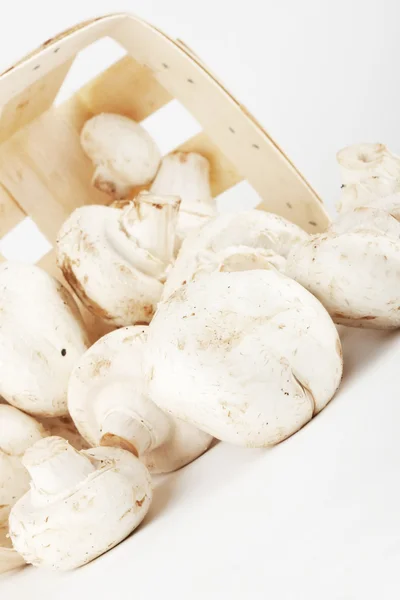 Frische Pilze in einer Holzkiste — Stockfoto