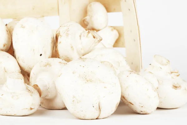 Verse champignons in een houten doos — Stockfoto