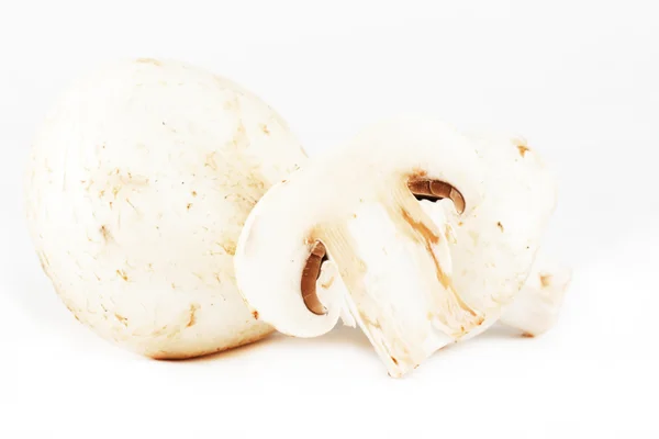 Champignon mushrooms extreme closeup — Stock Photo, Image