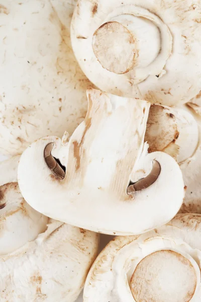 Extrémní closeup houby žampiony — Stock fotografie