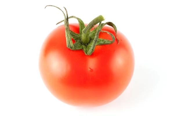 En perfekt tomater — Stockfoto