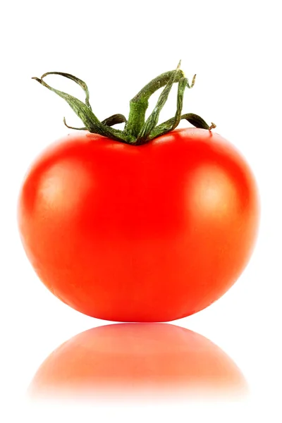Um tomate perfeito — Fotografia de Stock