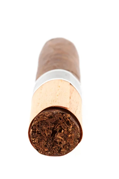 Zigarre auf dem weißen — Stockfoto