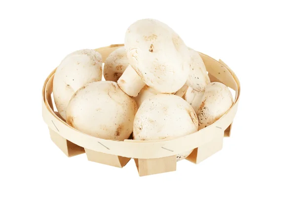 Свежие грибы в деревянной коробке — стоковое фото