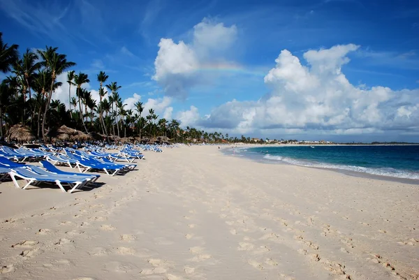 Costa caraibica Fotografia Stock