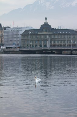 Lucerne - İsviçre