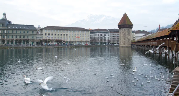 Λουκέρνη - ελβετικό — Φωτογραφία Αρχείου
