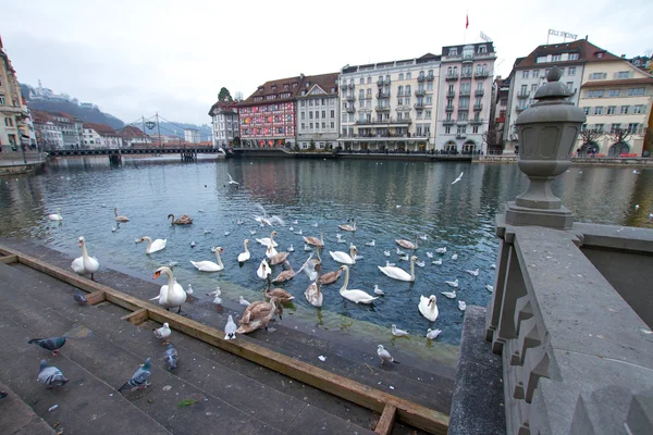 Lucerna - Suiza —  Fotos de Stock
