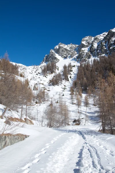 Aosta Valley - italy — Stock Photo, Image