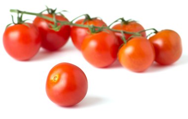 Ripe fresh cherry tomatoes on branch clipart