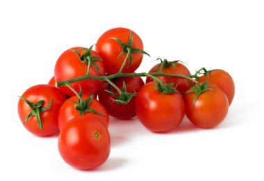 Ripe fresh cherry tomatoes on branch clipart