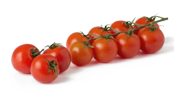 Tomates cereja frescos maduros em ramo — Fotografia de Stock