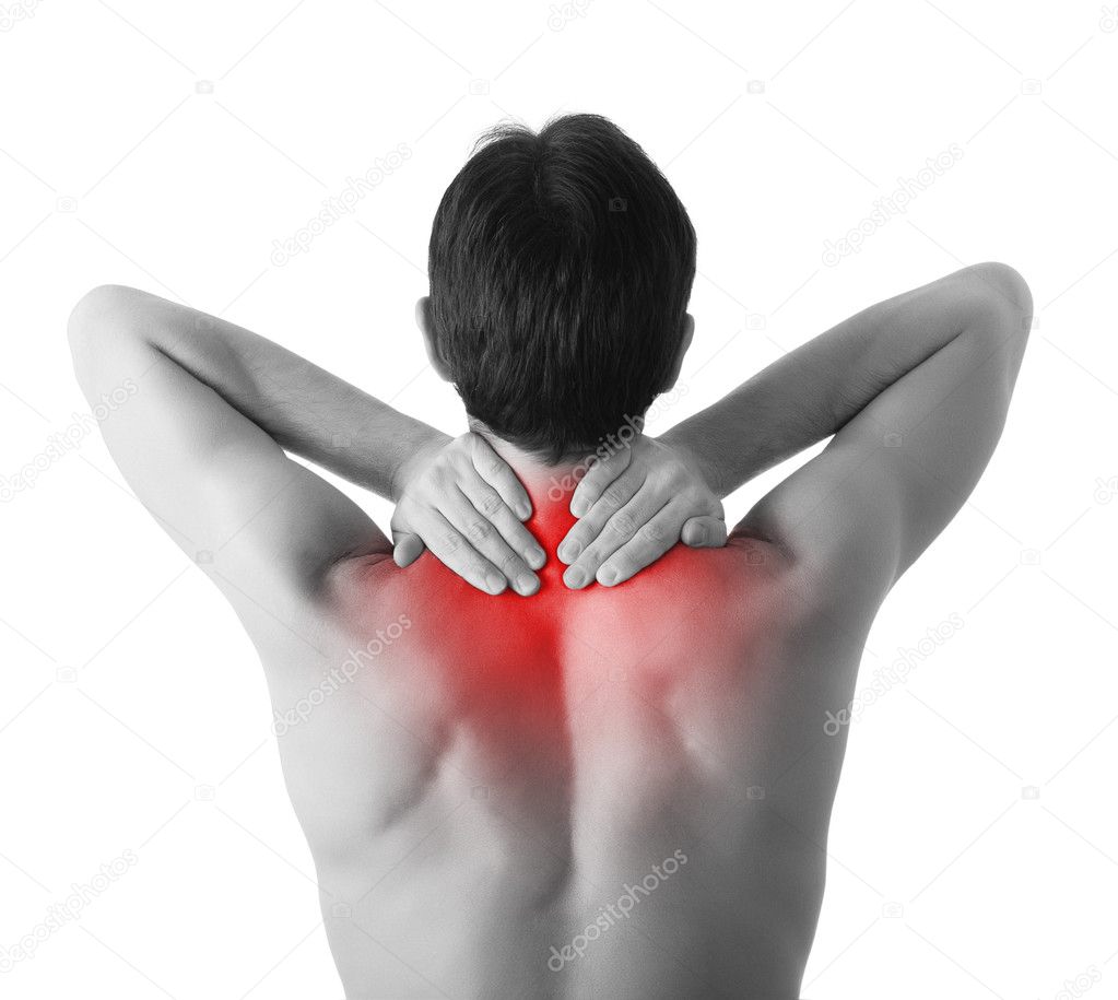 Male Back Neck Ache Isolated on White - REAL Anatomy Stock Image