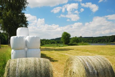 Harvested field with straw bales packaged clipart